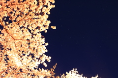 20170423192358_IMG_1723