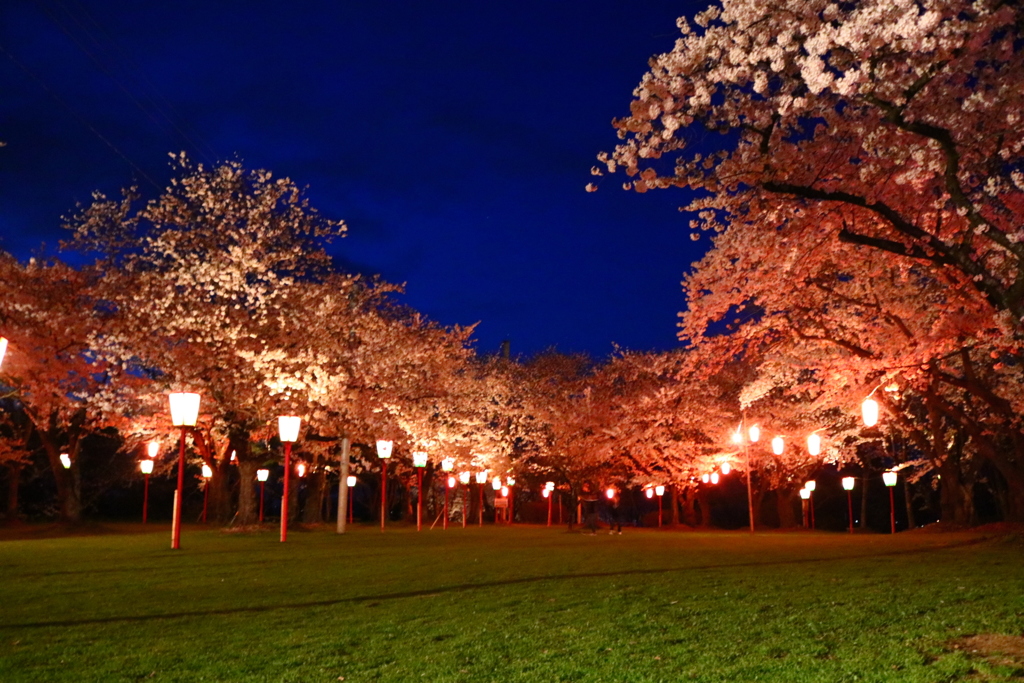 20170423191835_IMG_1708