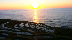 SUNSET to SEA with RICE FIELD