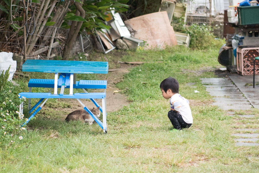 「雨宿り？」