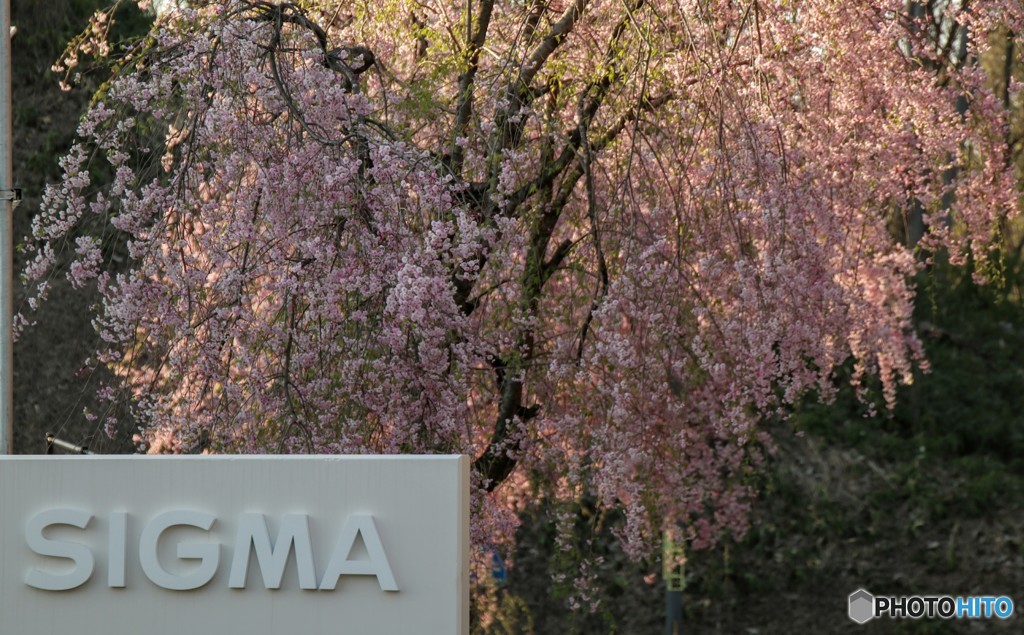 シグマ会津工場にて