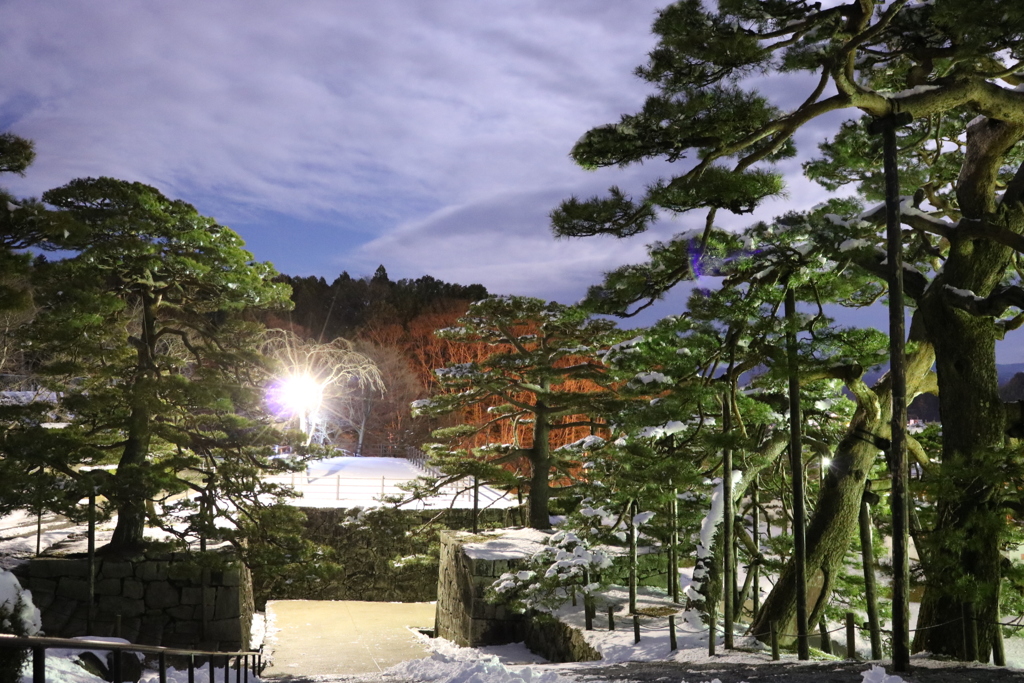 霞ヶ城公園