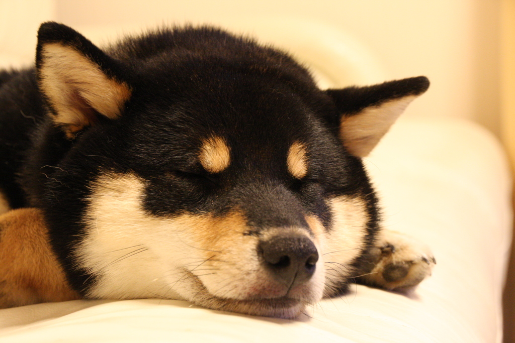 zzz!