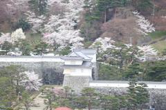 二本松市　霞ヶ城