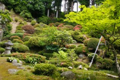 あじさい寺　日本庭園