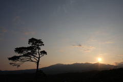 7月7日　夕陽