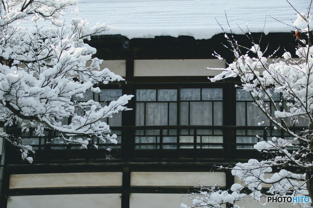 雪の華