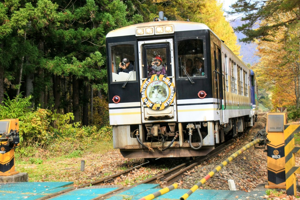 お座トロ展望列車