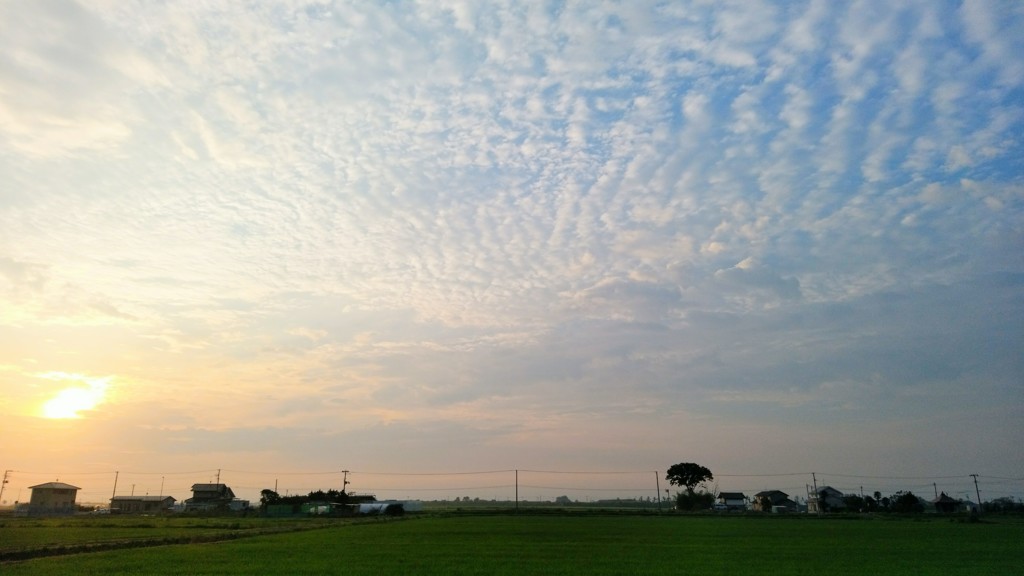 朝日とうろこ雲