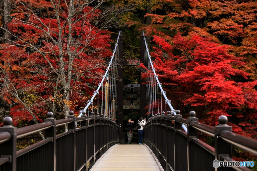 紅葉と吊り橋