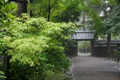 新発田市　清水園③