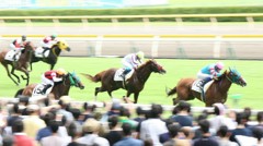 競馬に挑戦　新潟千メートル直線