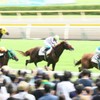 競馬に挑戦　新潟千メートル直線