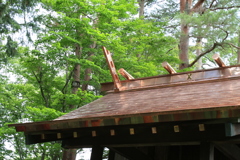 ピッカピカの銅板屋根
