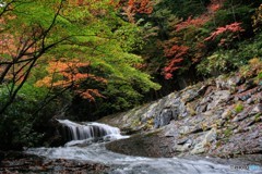 あだたら渓谷自然遊歩道②