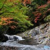 あだたら渓谷自然遊歩道②