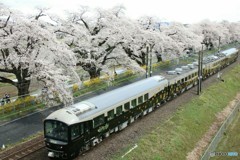 大河原千本桜とジパング
