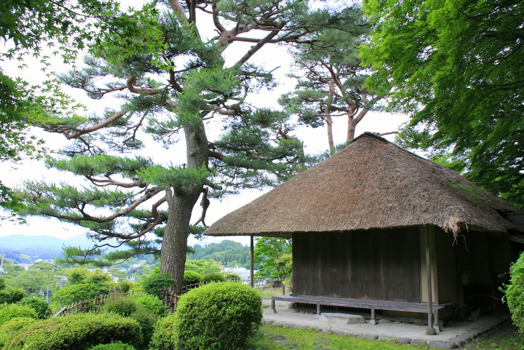 二本松城跡　霞ヶ城公園⑥