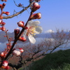 風景_May2025