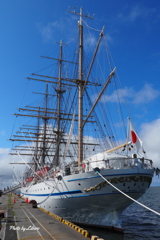 日本丸_Aug2024