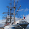 日本丸_Aug2024