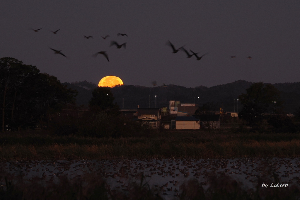 風景_Oct2025