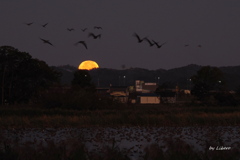 風景_Oct2025