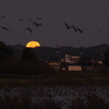 風景_Oct2025