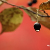 snsp_Oct2024