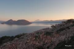 風景_May2025