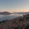 風景_May2025