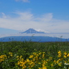 風景_Jun2024