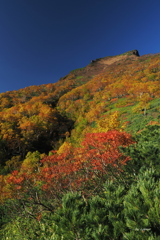 風景_Sep2025