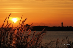 夕景_Sep2025