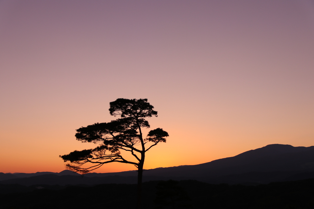 夕暮れ時