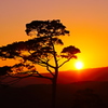 夕刻