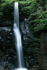 清涼