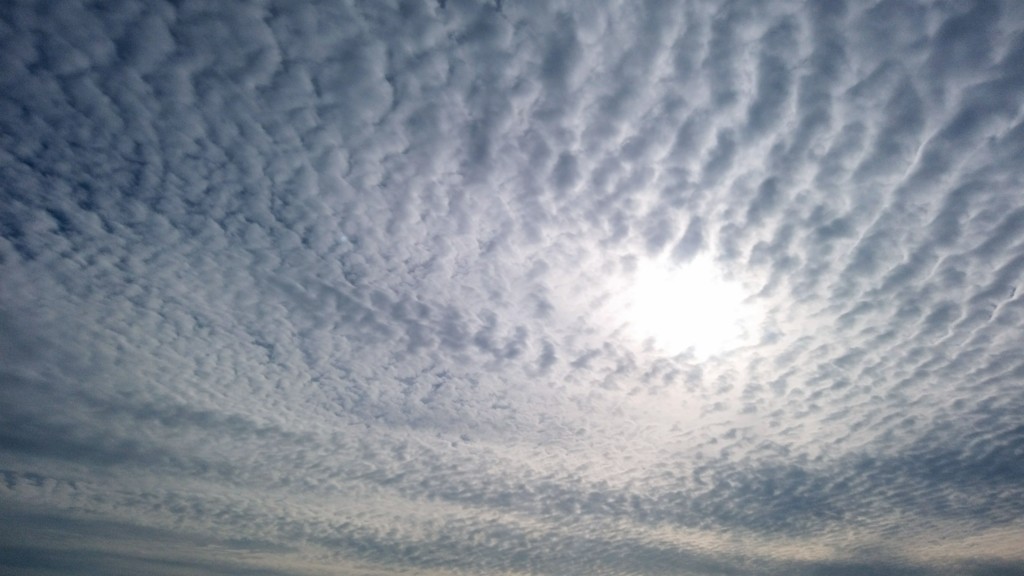 雲