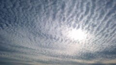 雲