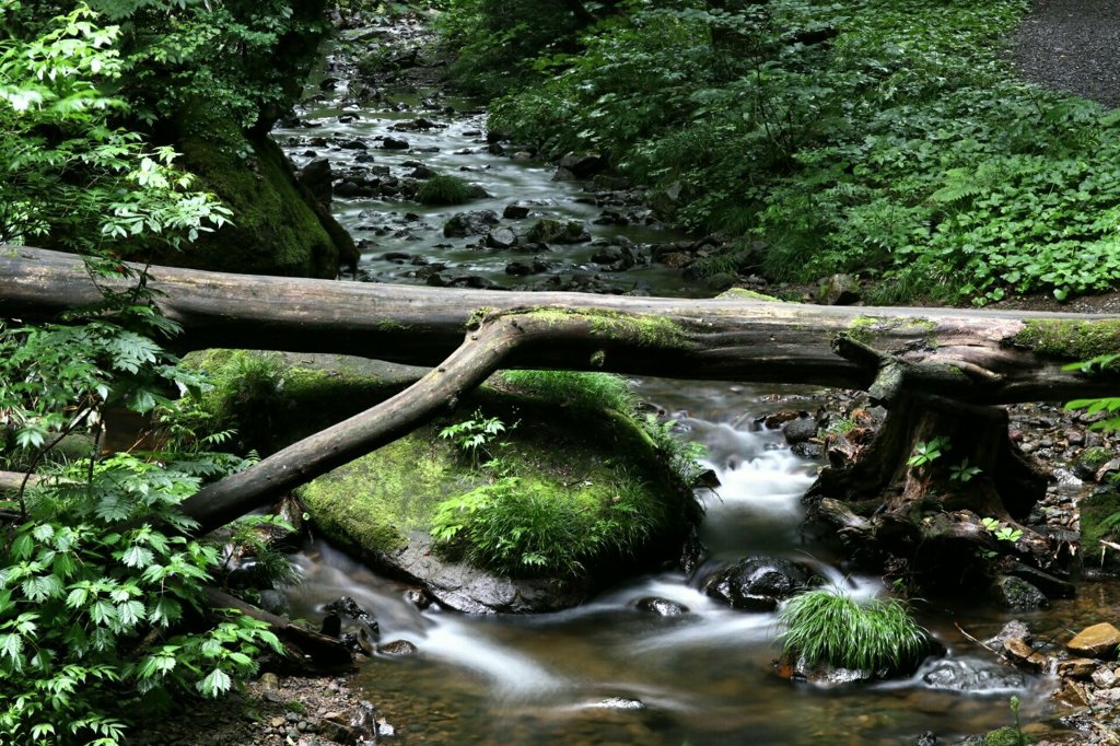 自然の橋