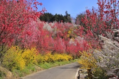 花やしき公園