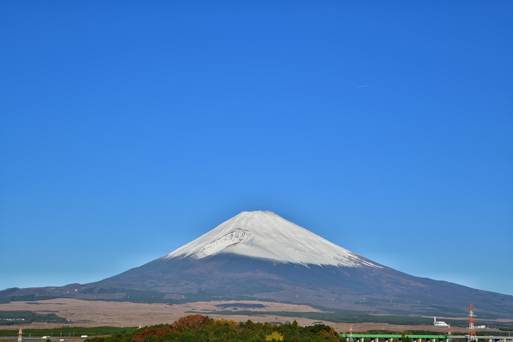 賀正