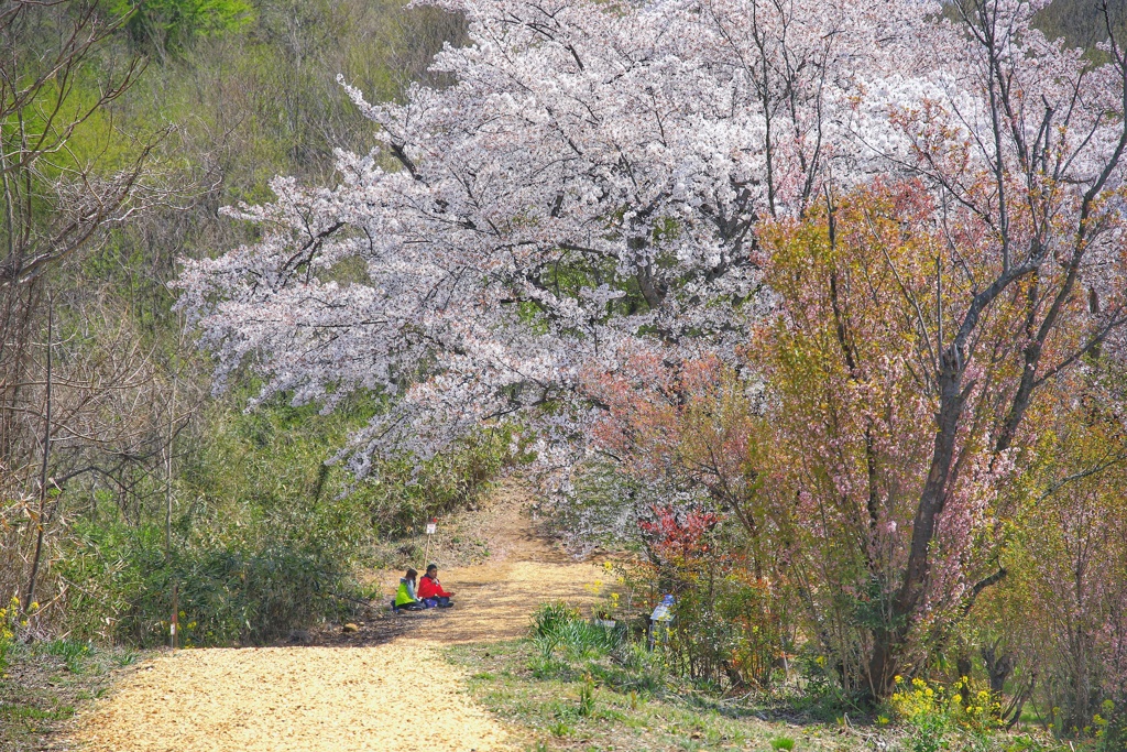 ひと休み