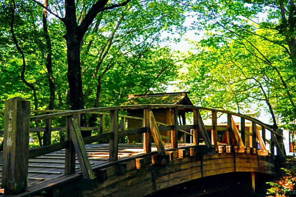 初夏の木漏れ日