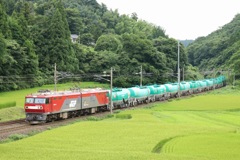 金太郎が走る