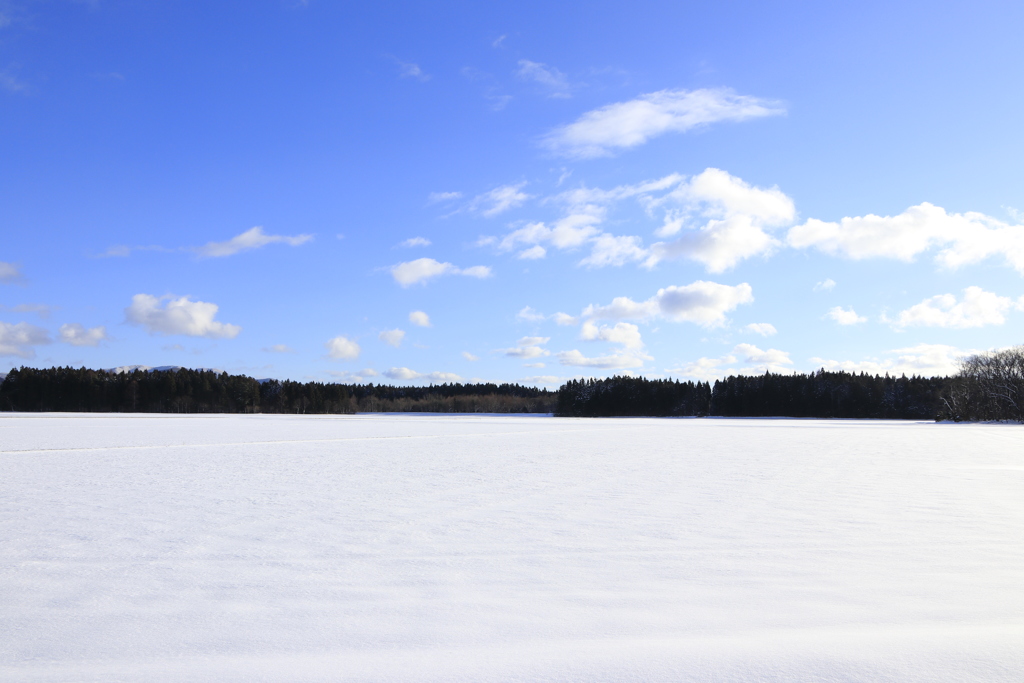 雪原