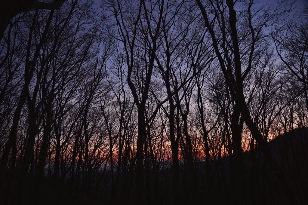 夕暮れ