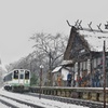 雪会津