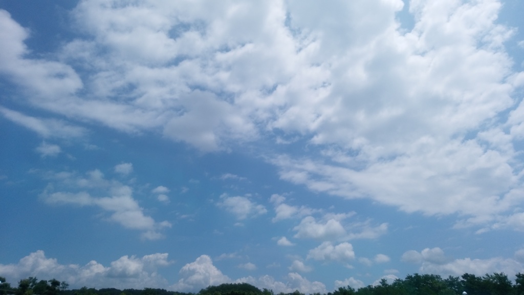 夏の予感