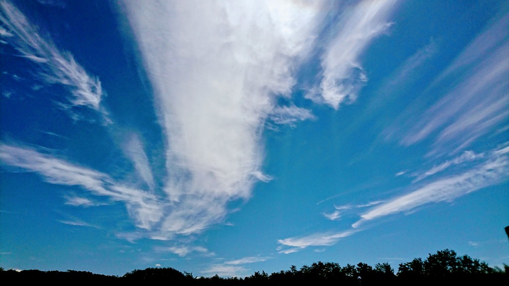 主張する雲
